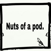 Nuts of a pod.