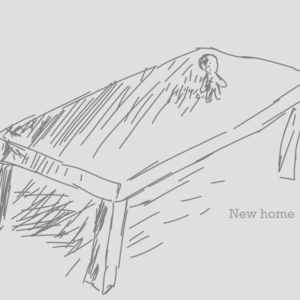 Chapter 1 - New home