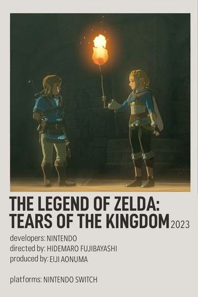 The Legend of Zelda Tears of the Kindom ( Fran&ccedil;ais)