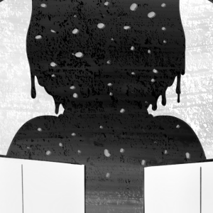 0017: What are you trying to show me?