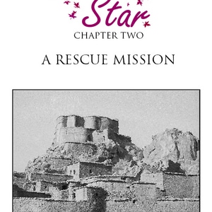 A Rescue Mission