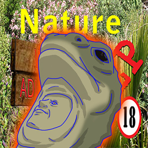 Nature DEEP Episode 4; The Tuatara