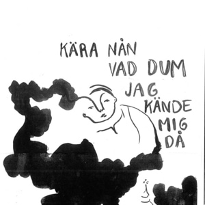 Det var aldrig mitt fel