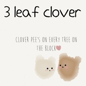 clover pee's on every tree on the block!