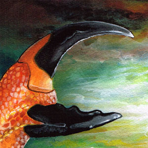 The Kraben - Page 13