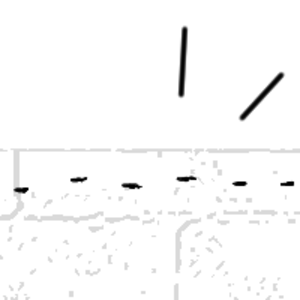 Ant Trail 2