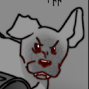 Page 12: Morning