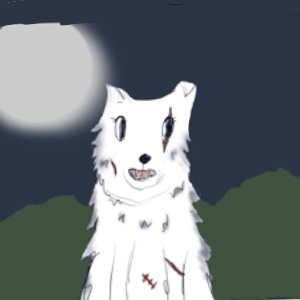 The new pack members