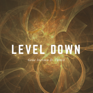 Level Down!?