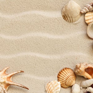 Episode 2 on the shore