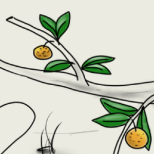 Luna's Bunch - One Shot Fun - Fresh