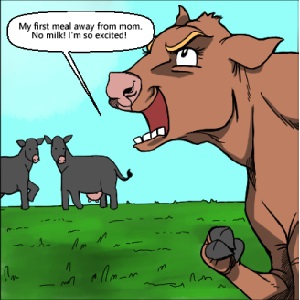 Ruminating on Cows