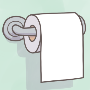 The Great Toilet Paper Debate
