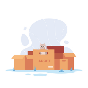 Chapter 2: The Stress of Moving