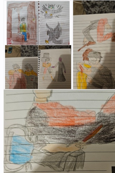 What if harry potter had a twin brother 