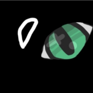 Somewhere in the forest