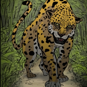 El rey y el leopardo - Parte 1