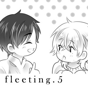 fleeting / 5 (finale)