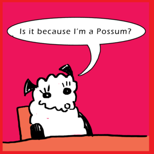 Is it because I'm a Possum?