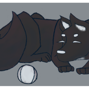 &lsaquo; Home &rsaquo;