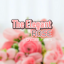 The Elegant Rose