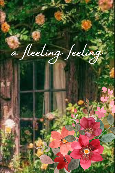 a fleeting feeling