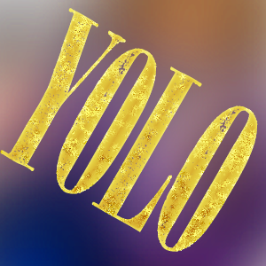 YOLO (one panel)