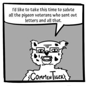 Pigeon Veteran's Day Salute