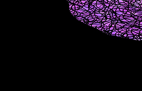 custom banner