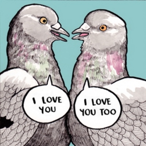 Pigeon Love