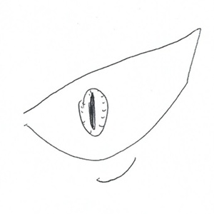 Comportamento Geral (Parte 3)