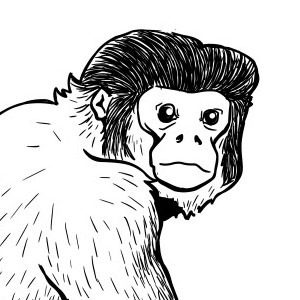 Tira 4: Eu quero um macaco-prego!