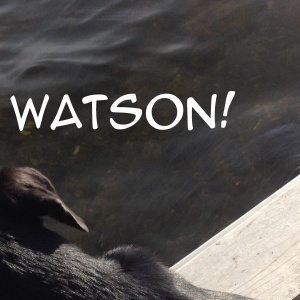 Meet Watson #1