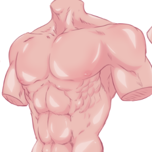 Anatomy reference #5: Male Torso 1