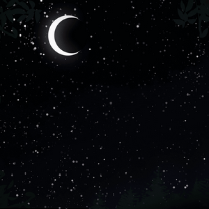 Pages 1-3: An Introduction