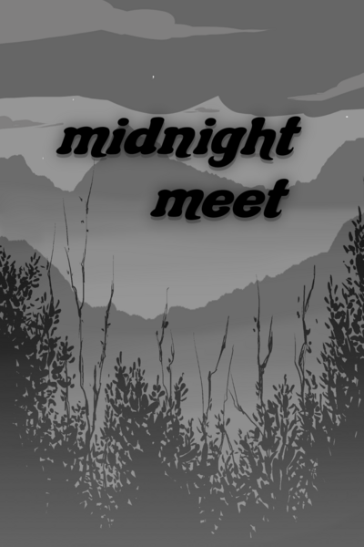 Midnight Meet