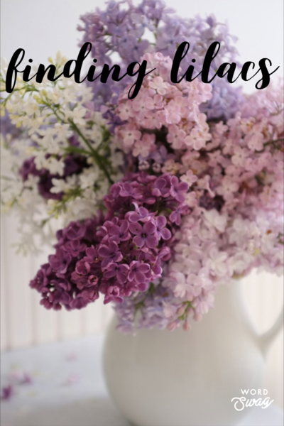 Finding Lilacs 
