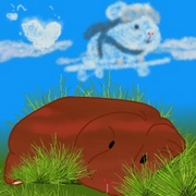 Pip's Mini Adventures: Pip's Daydream