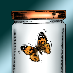 Catching up with Nikki