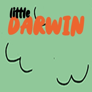 little Darwin #10