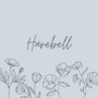 Harebell
