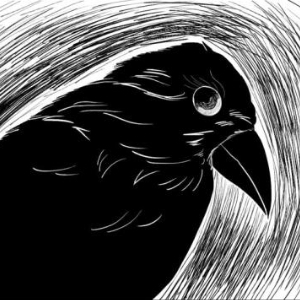 Chap 11