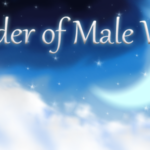 The Order of Male Witches