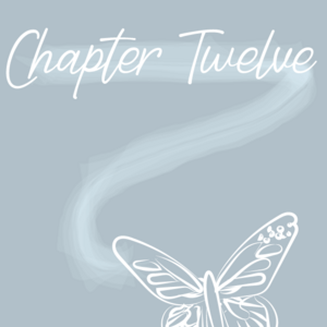 Chapter 12