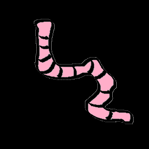 Worm