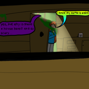 why are we going in?