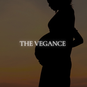 Chapter 20: The Revenge