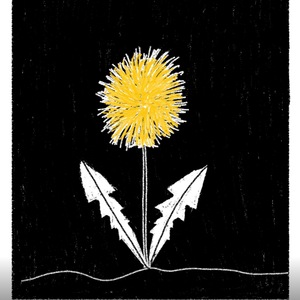 Fruits and Vegetables