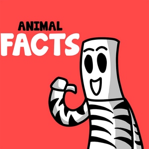 Animal FACTS!!!