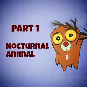 Nocturnal animal